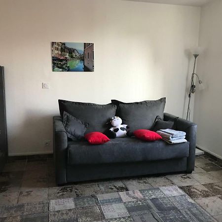 Studio Champagne Au Centre Ville Apartment Annecy Bagian luar foto
