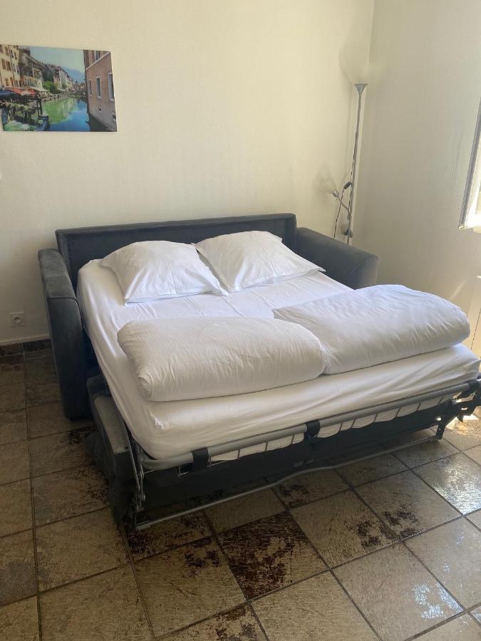 Studio Champagne Au Centre Ville Apartment Annecy Bagian luar foto